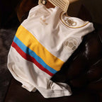 CAMISETA SELECCIÓN EDICIÓN CENTENARIO backup
